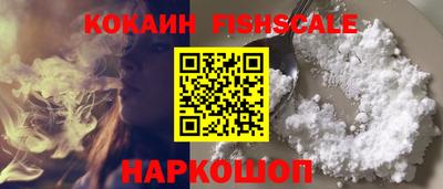 jwh Бийск