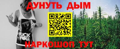 jwh Бийск