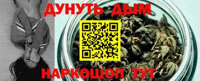 jwh Бийск