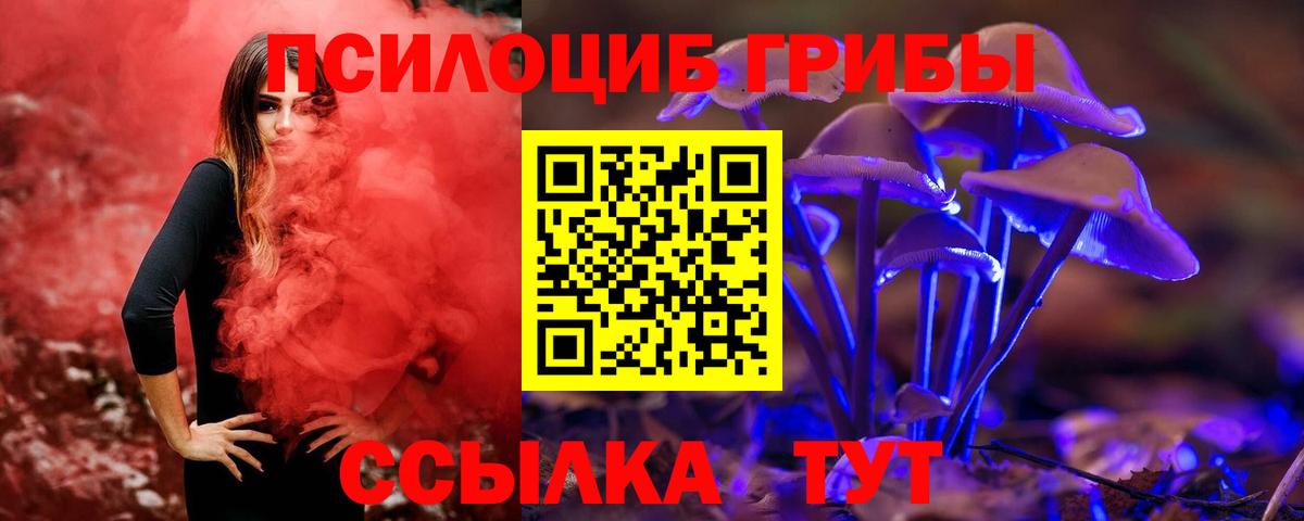 Городец  Галлюциногенные грибы GOLDEN TEACHER  наркошоп  Вход с VPN 